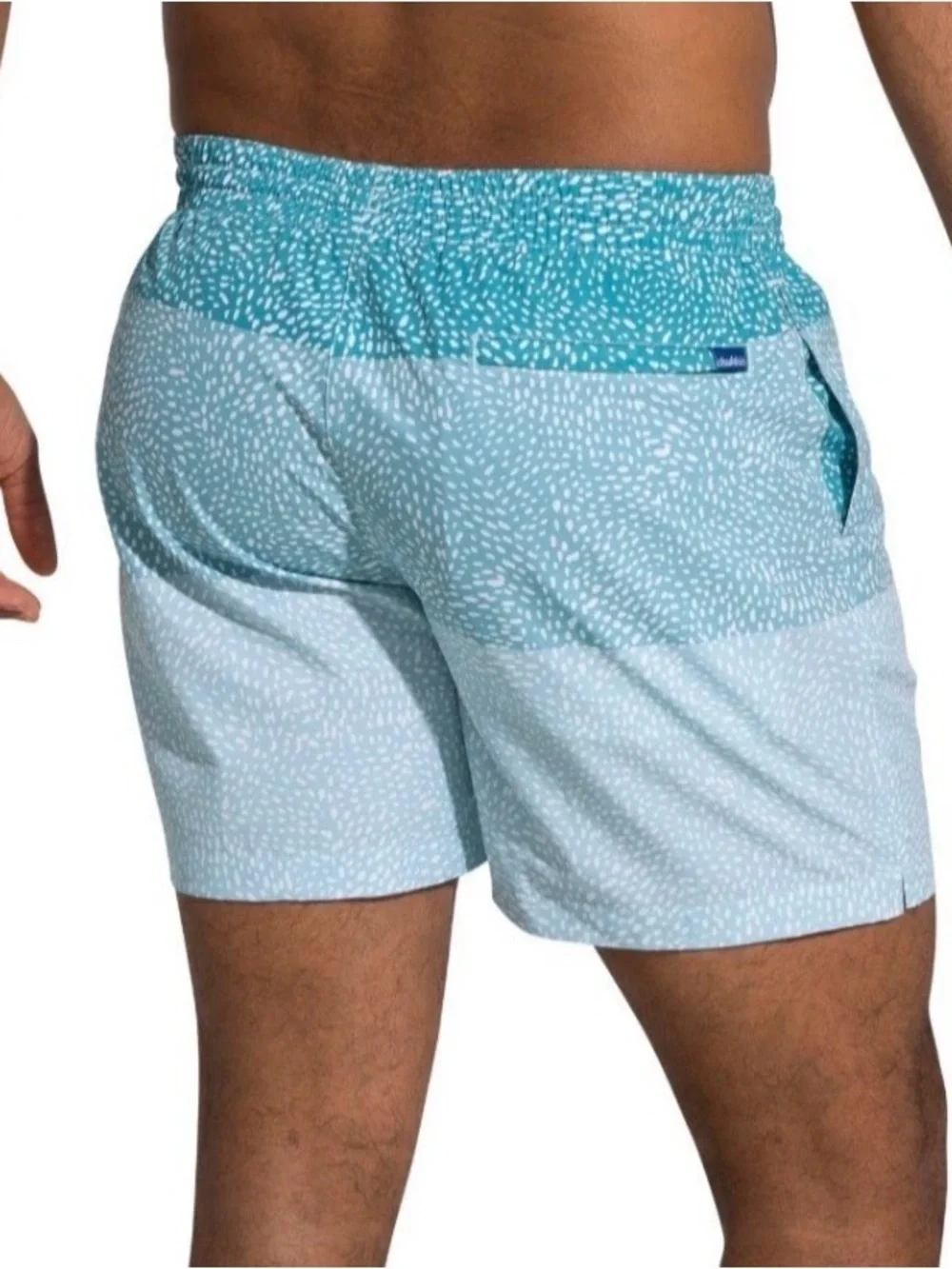 chubbies your swim